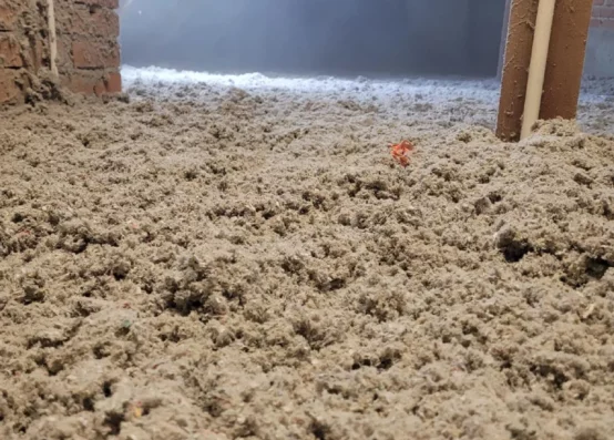 izolacja celulozą rzeszów