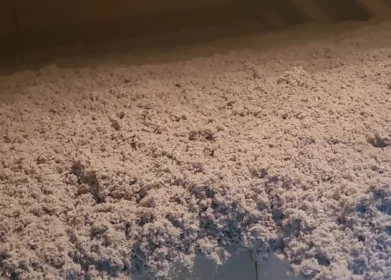 izolacja celulozą Poznań