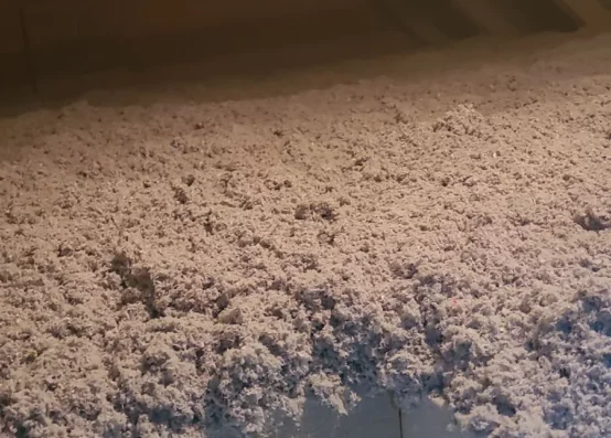 izolacja celulozą Poznań