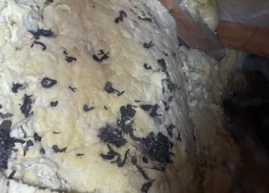 Naprawa dachu po kunie Zamość