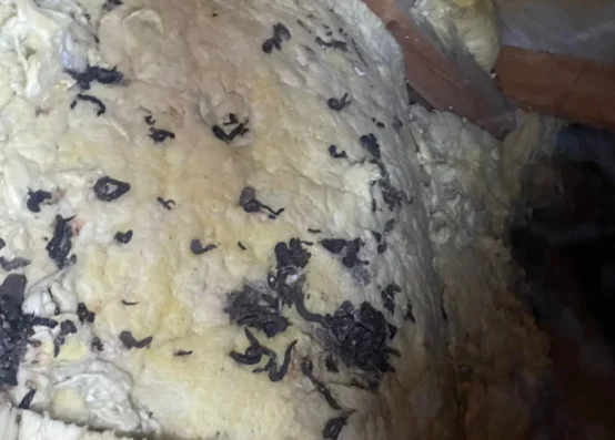 Naprawa dachu po kunie Zamość