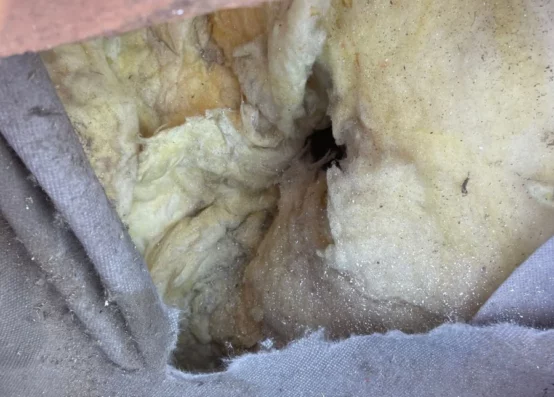 Naprawa dachu po kunie Gdańsk