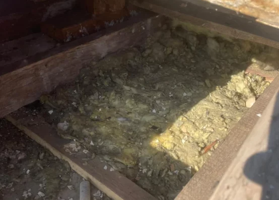 Naprawa dachu po kunie Łódź