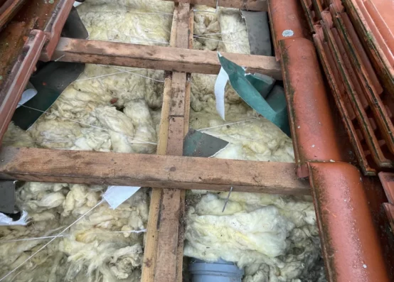 Naprawa dachu po kunie małopolskie