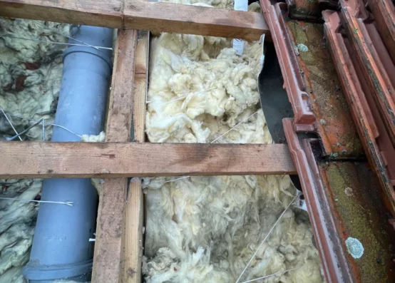 Naprawa dachu po kunie wielkopolskie