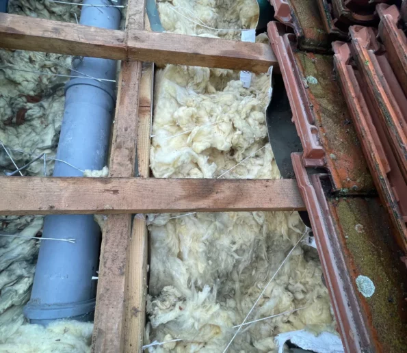 Naprawa dachu po kunie wielkopolskie