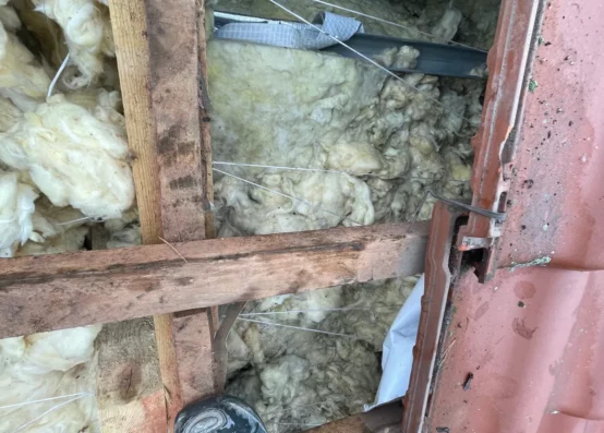 Naprawa dachu po kunie mazowieckie