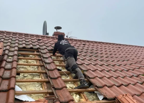 Naprawa dachu po kunie świętokrzyskie