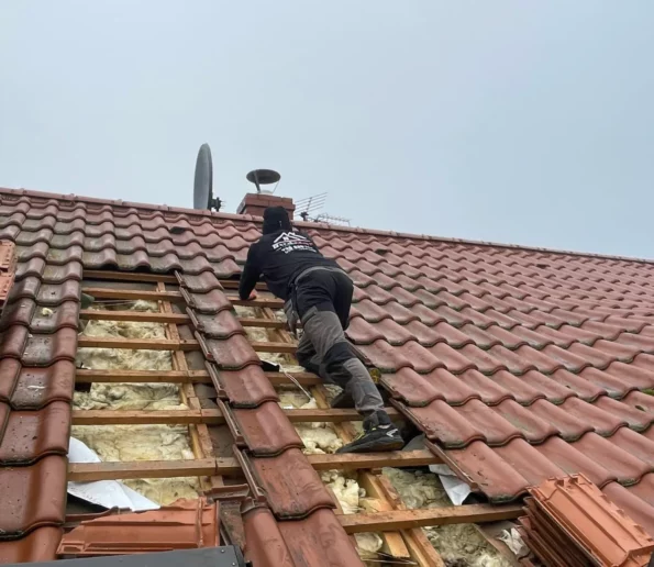 Naprawa dachu po kunie świętokrzyskie