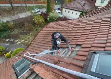 Naprawa dachu po kunie pomorskie