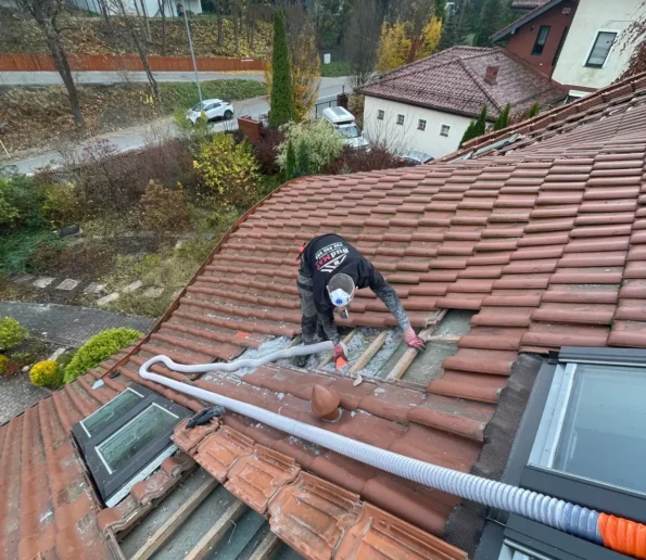 Naprawa dachu po kunie pomorskie