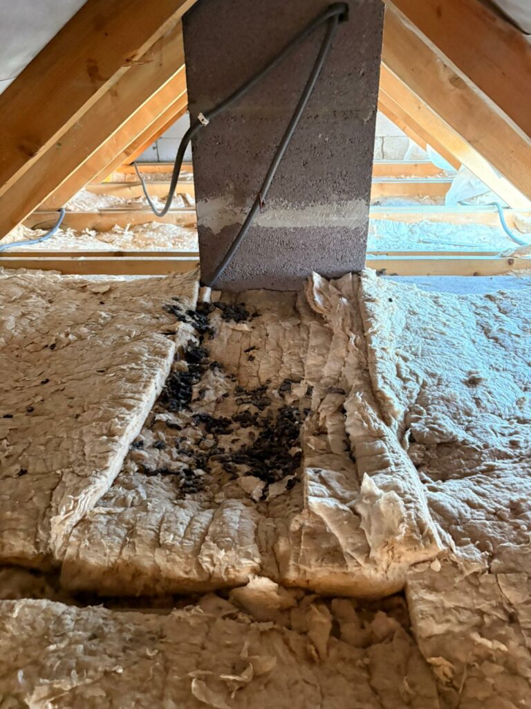 ile kosztuje naprawa dachu po kunie