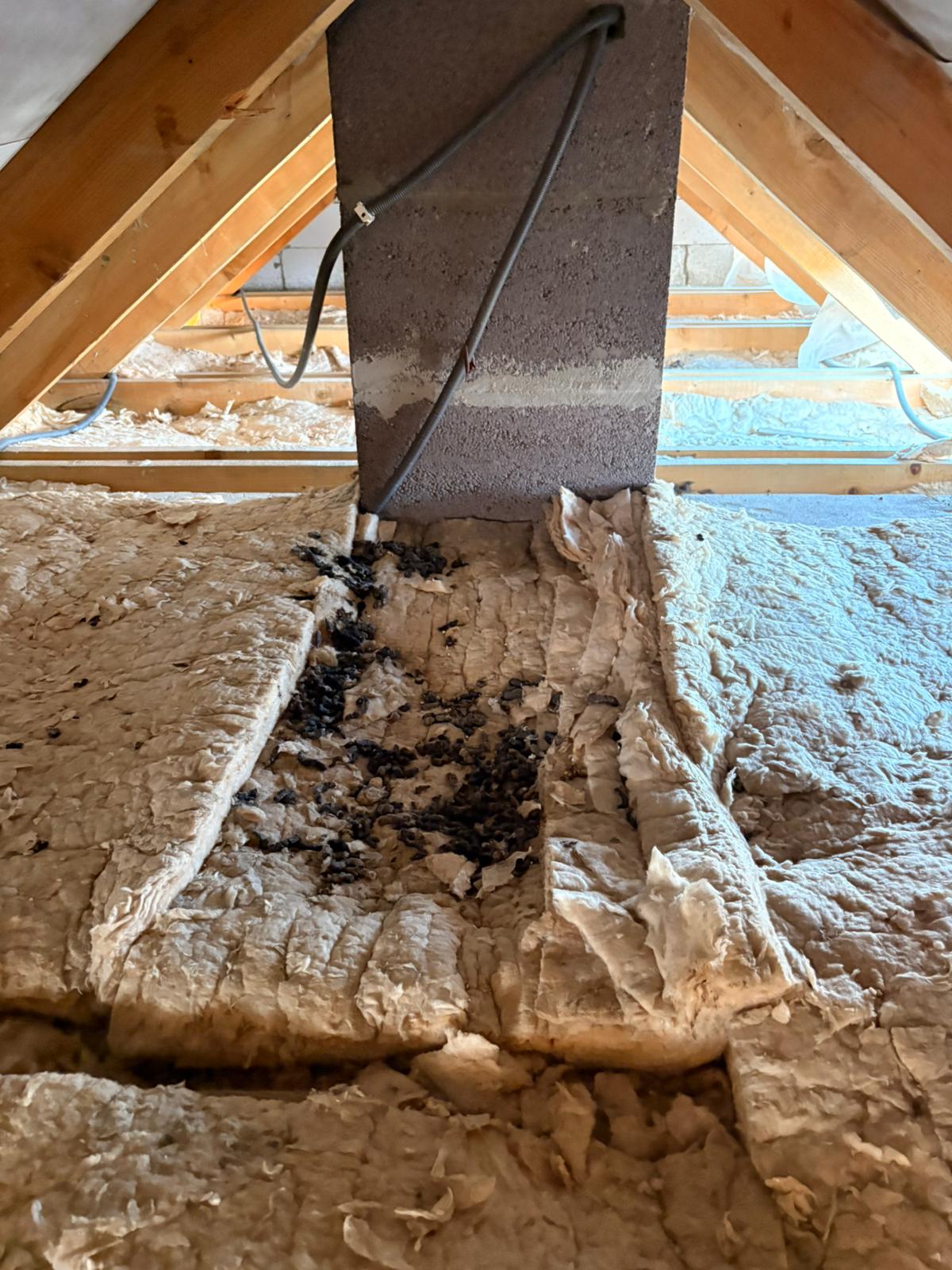 ile kosztuje naprawa dachu po kunie